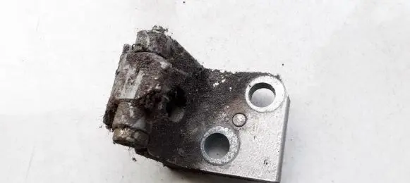 Rear door lower hinge