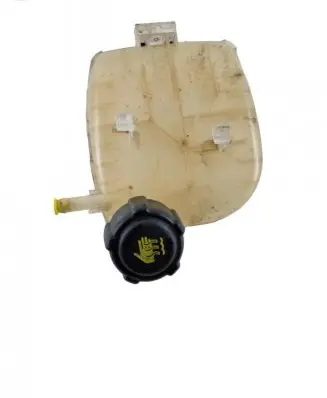 Renault Twingo II Coolant expansion tank/reservoir 8200369313