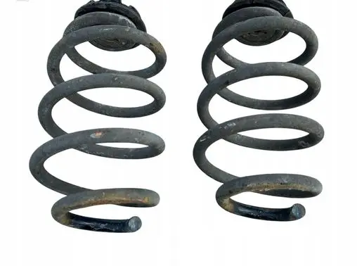 Nissan Leaf I (ZE0) Rear coil spring SZTNL1