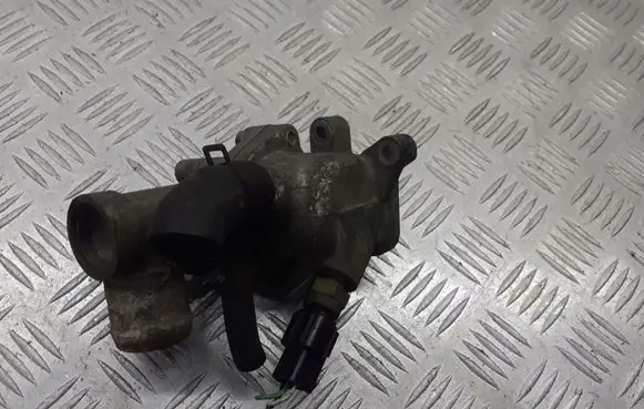 Thermostat/thermostat housing