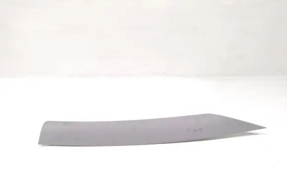 Tesla Model 3 (A) pillar trim 173204710F
