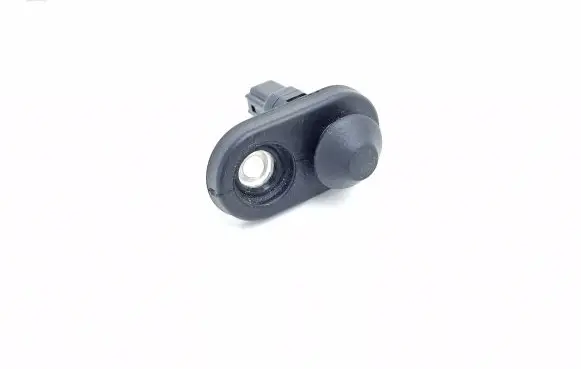 Toyota Land Cruiser (J120) Rear door sensor 