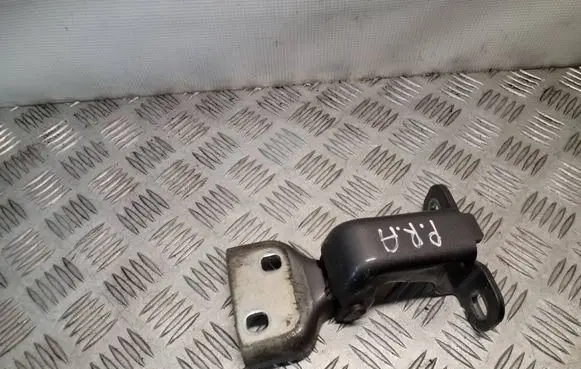 Renault Trafic III (X82) Front door lower hinge 