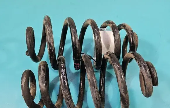 Rear coil spring