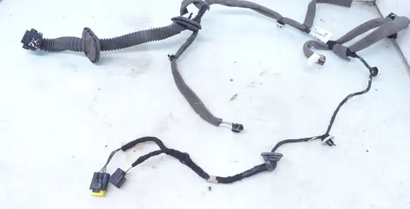Renault Megane III Front door wiring loom 241250055R