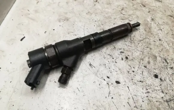 Peugeot 406 Fuel injector 04451100769641742880