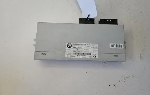 BMW 5 F10 F11 Tailgate/trunk control unit/module 7266666 F005V01090 0005452502