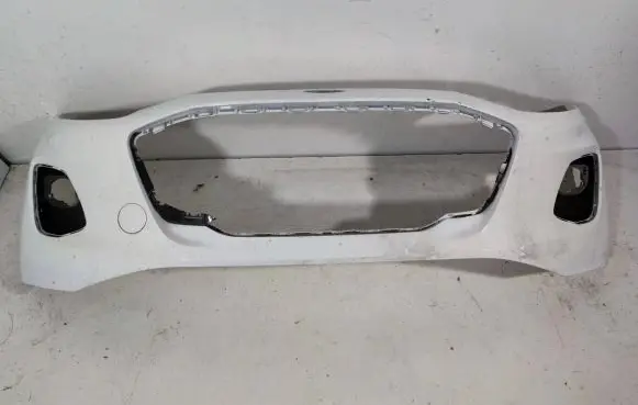 Ford Puma Front bumper L1TB17757B1