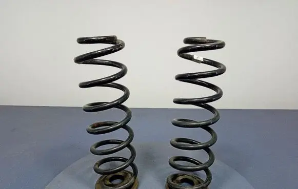 Rear coil spring