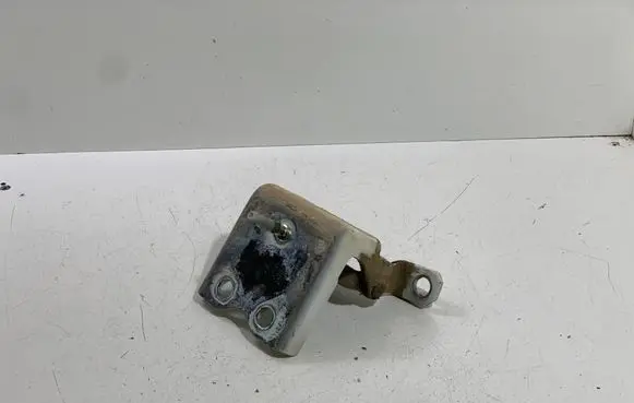 Rear door lower hinge