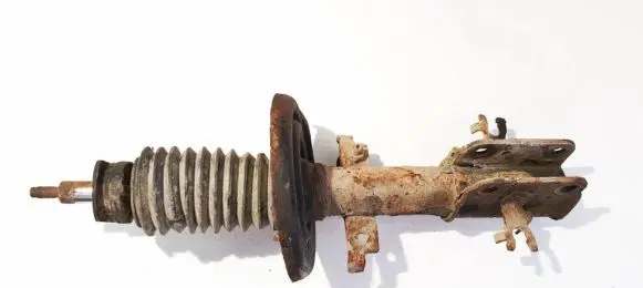Renault Laguna III Front shock absorber/damper