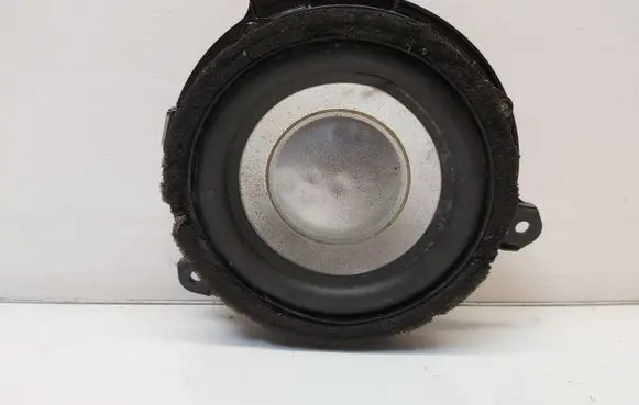 Lexus GX J150 Rear door speaker