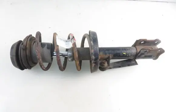 Opel Zafira A Front shock absorber with coil spring DSF037G
