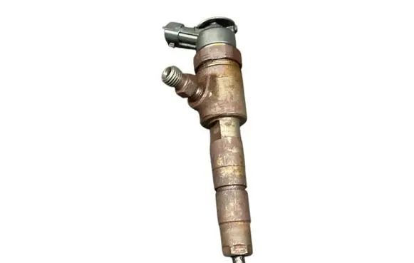 Citroen C3 Fuel injector 0445110339