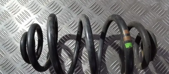 Volkswagen PASSAT B5.5 Rear coil spring