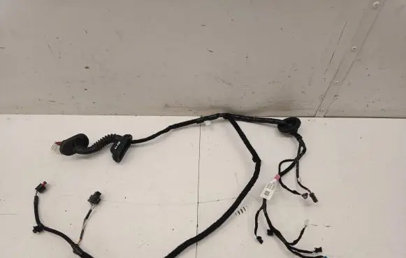 Tesla Model 3 Rear door wiring loom 206796600B