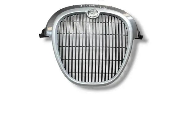 Front bumper upper radiator grill