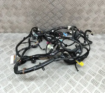 Tesla Model 3 Other wiring loom 311769000B