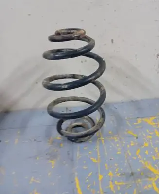 Volkswagen PASSAT B5.5 Rear coil spring