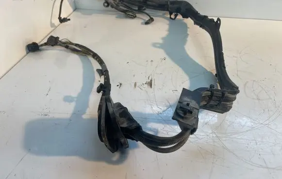 BMW X6 E71 Other wiring loom 7575580