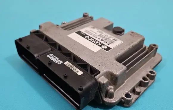 Engine control unit/module ECU
