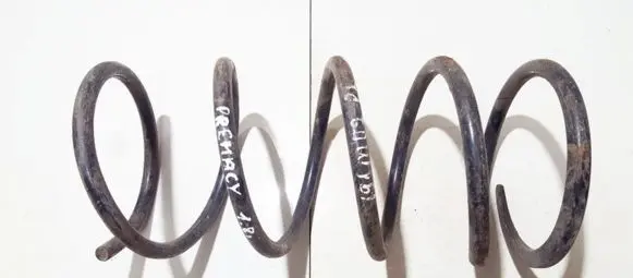 Mazda Premacy Front coil spring