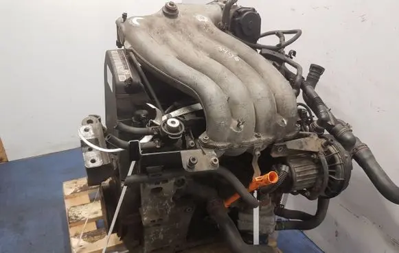 Skoda Octavia Mk1 (1U) Engine