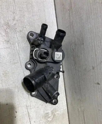 Thermostat/thermostat housing