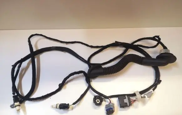 Rear door wiring loom