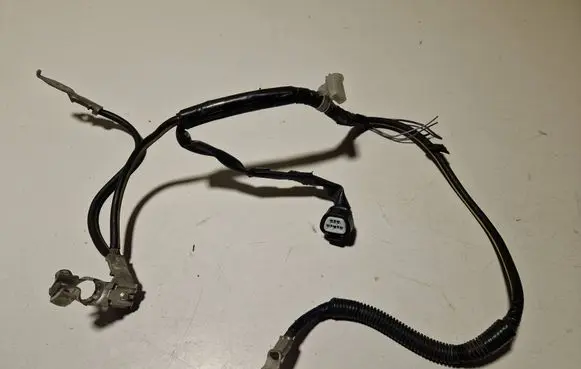 Negative earth cable (battery)