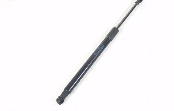 Tailgate strut