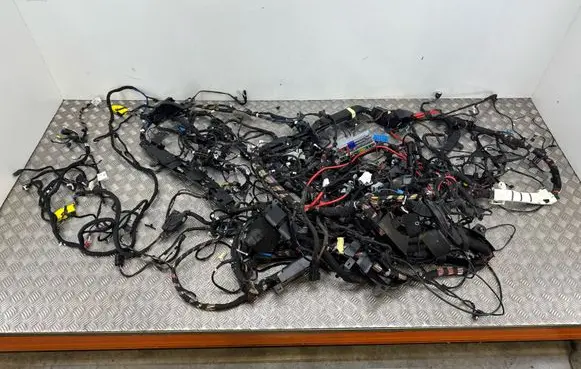 BMW 5 G30 G31 G38 Wiring harness HARMANKARDON