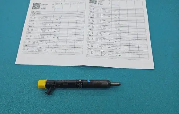 Renault Scenic II - Grand scenic II Fuel injector EJBR01801A IMPRK1543298