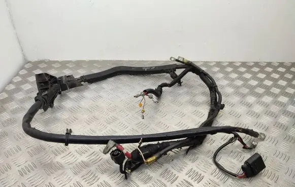 Audi A6 C7 Wires (generator/alternator) 4G0971824R