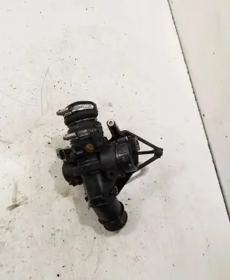Peugeot Partner Throttle valve 25365222 20g03876