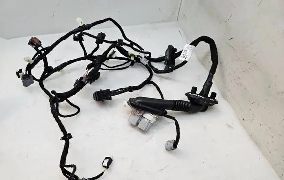 Ford Mach-E I Front door wiring loom PJ8T14630RBC
