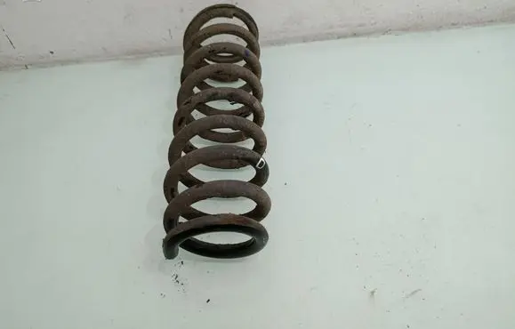 Rear coil spring