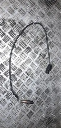 Opel Signum Lambda probe sensor 1928404687