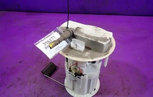 Citroen C3 In-tank fuel pump