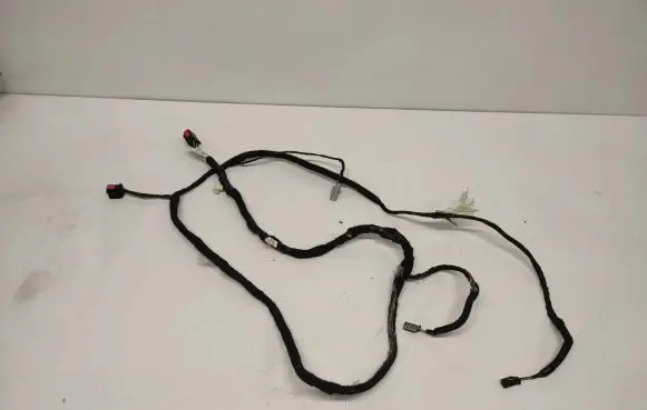 Ford Mustang VI Other wiring loom Fr3t14334AD 33131002 G281T