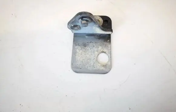 Rear door lower hinge