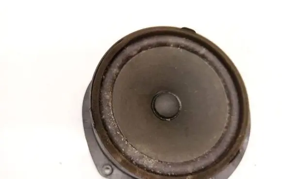 Tesla Model S Front door speaker 100483302A