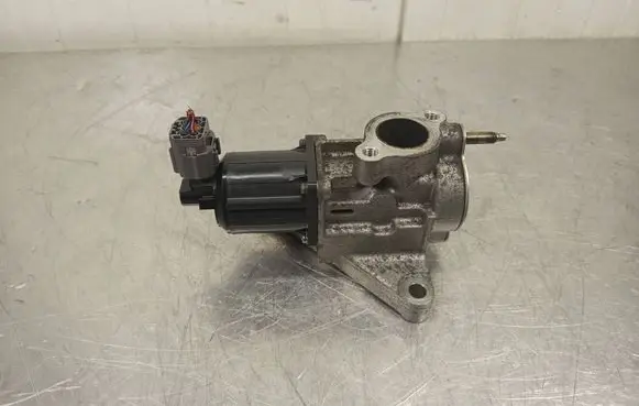 EGR valve
