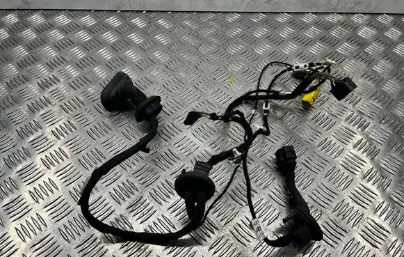 Audi A6 S6 C6 4F Front door wiring loom 4F1971029AD 4F0971841E 1J0973715