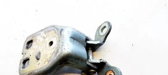 Rear door lower hinge