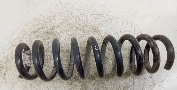 Rear coil spring