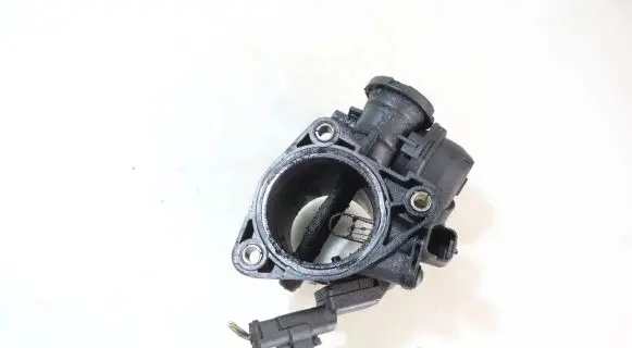 Throttle body valve