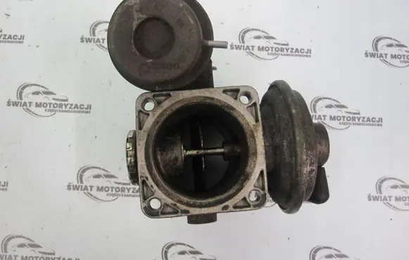 Chrysler Grand Voyager V EGR valve 49002021F