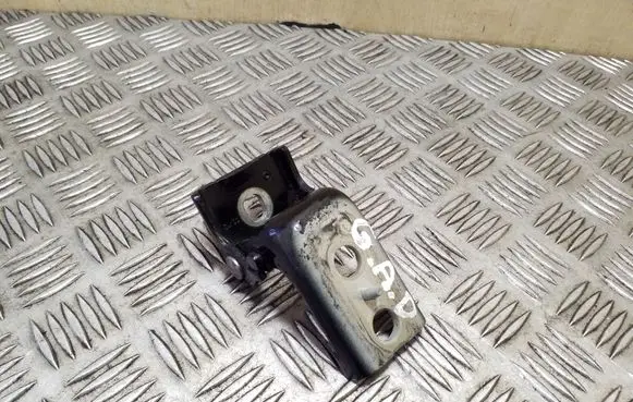 Citroen DS4 Rear door lower hinge