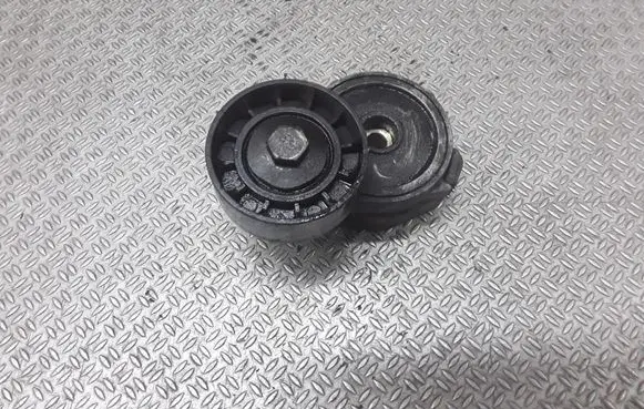 Peugeot 407 Generator/alternator belt tensioner